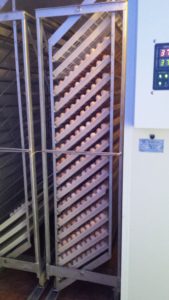 Incubation service 