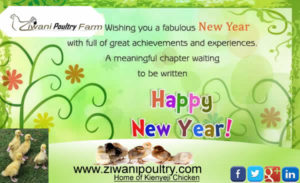 happy new year