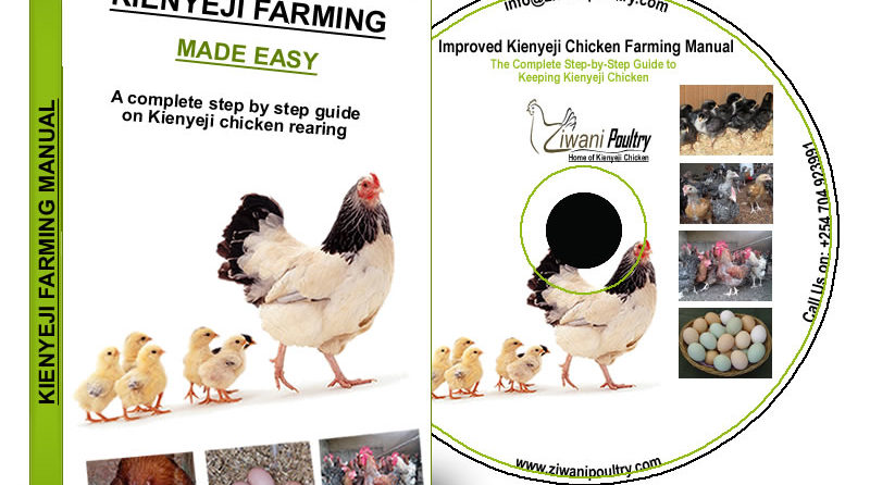 Kienyeji Chicken farming guide