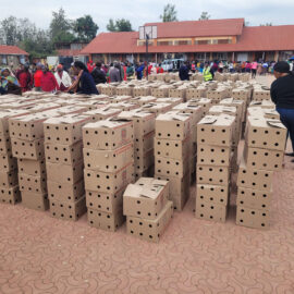Kiambu County Chicks