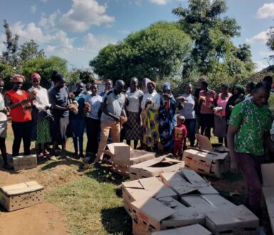 Kienyeji poultry delivered by Ziwani Poultry to Baringo for Self Help Africa