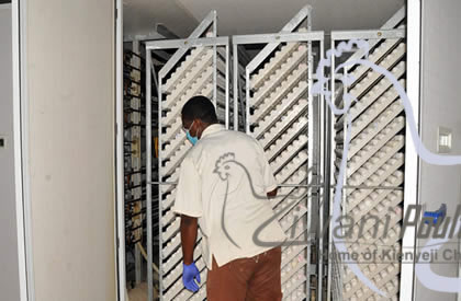Day Old Kari Improved Kienyeji Chicks KARI chicks we sell good strong chicks. KARI chicken, kuroiler chicken are better than Kienyeji chicken, they are excellent layers. We start selling our KARI chicks at day old. F1 KARI Chicks at Ziwani Poultry Farm. Call us on 0708923991 visit our website for more information and other breeds of chicken and ducks...http://www.ziwanipoultry.com