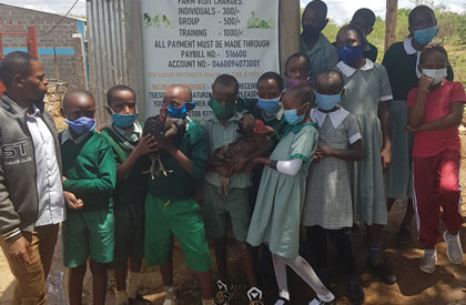 Day Old Kari Improved Kienyeji Chicks KARI chicks we sell good strong chicks. KARI chicken, kuroiler chicken are better than Kienyeji chicken, they are excellent layers. We start selling our KARI chicks at day old. F1 KARI Chicks at Ziwani Poultry Farm. Call us on 0708923991 visit our website for more information and other breeds of chicken and ducks...http://www.ziwanipoultry.com