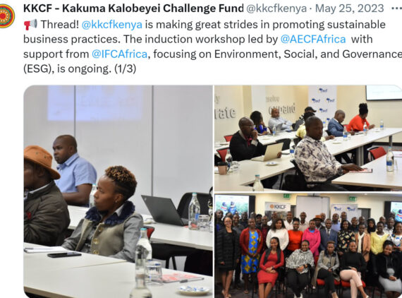 KKCF Project funded by IFC - Ziwani Poultry is ons of the investee