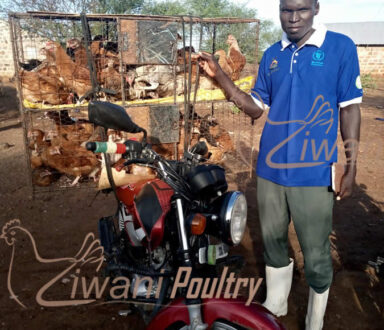 FSC model under WFP in Turkana County