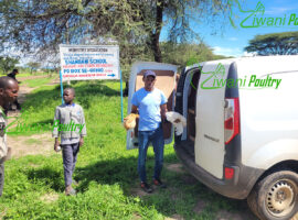 Kienyeji poultry delivered by Ziwani Poultry to Isiolo for World Vision