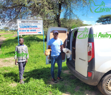 Kienyeji poultry delivered by Ziwani Poultry to Isiolo for World Vision
